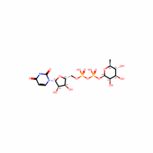 UDP-rhamnose