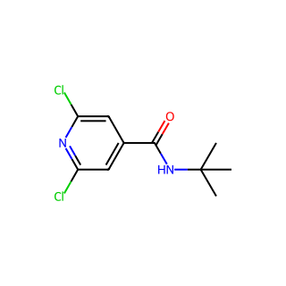 N-tert-butyl-2,6-dichloropyridine-4-carboxamide
