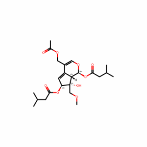 Valeriandoid F