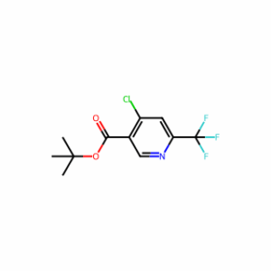 tert-butyl 4-chloro-6-(trifluoromethyl)pyridine-3-carboxylate