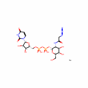 Uridine 5′-diphospho-N-acetylazidogalactosamine disodium salt