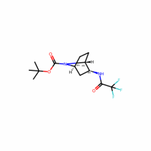 tert-Butyl (1R,2S,4S)-2-(2,2,2-trifluoroacetamido)-7-azabicyclo[2.2.1]heptane-7-carboxylate