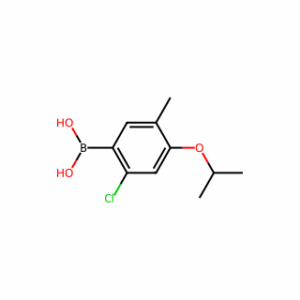 (2-Chloro-4-isopropoxy-5-methylphenyl)boronic acid