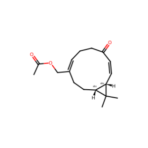 KISSOONE C