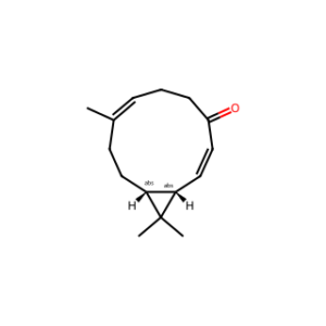 KISSOONE A