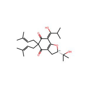 Garcinielliptone HD