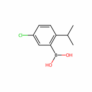 (5-Chloro-2-isopropylphenyl)boronic acid