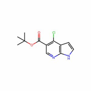 tert-butyl 4-chloro-1H-pyrrolo[2,3-b]pyridine-5-carboxylate