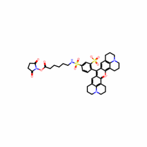 Texas Red-X succinimidyl ester