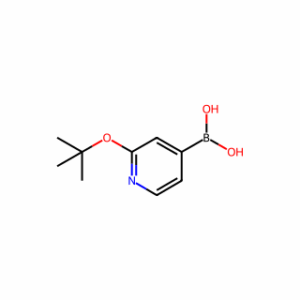 (2-(Tert-Butoxy)Pyridin-4-Yl)Boronic Acid