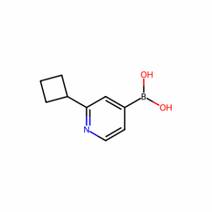 (2-Cyclobutylpyridin-4-yl)boronic acid