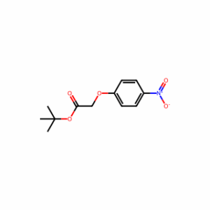 tert-butyl 4-nitrophenoxyacetate