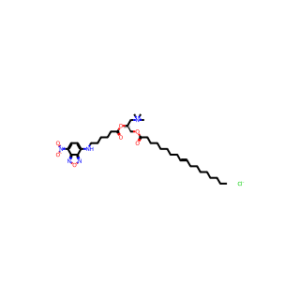 Fluorescent DOTAP