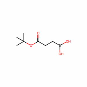 (3-(tert-Butoxy)-3-oxopropyl)boronic acid