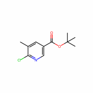 tert-Butyl 6-chloro-5-methylnicotinate