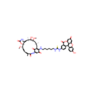 Geldanamycin-FITC