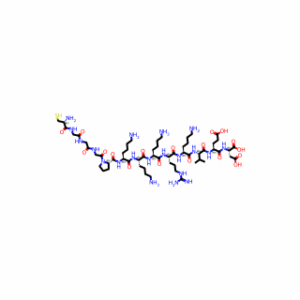 SV40 large T antigen NLS