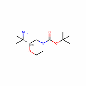 Tert-butyl 2-(2-aminopropan-2-yl)morpholine-4-carboxylate