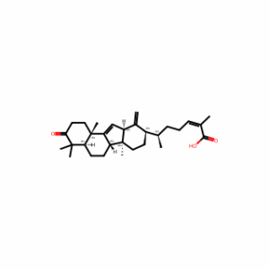(2Z,6R)-2-Methyl-6-[(4aR,6aS,6bS,9R,10aS,11bS)-2,3,4,4a,5,6,6a,6b,7,8,9,10,10a,11b-tetradecahydro-4,4,6b,11b-tetramethyl-10-methylene-3-oxo-1H-benzo[a]fluoren-9-yl]-2-heptenoic acid