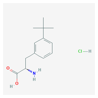 (S)-2-Amino-3-(3-(tert-butyl)phenyl)propanoic acid hydrochloride