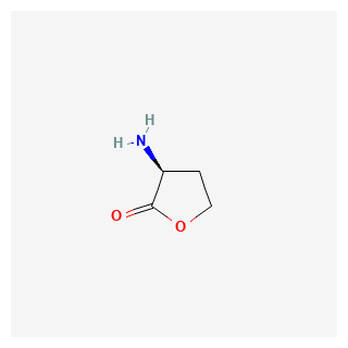 (S)-3-Aminodihydrofuran-2(3H)-one