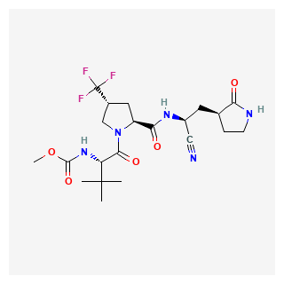 Ibuzatrelvir