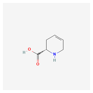 (S)-1,2,3,6-Tetrahydropyridine-2-carboxylic acid