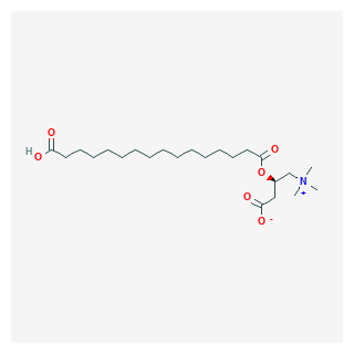 Hexadecanedioic Acid Mono-L-carnitine Ester Chloride