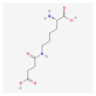 (S)-2-Amino-6-(3-carboxypropanamido)hexanoic acid