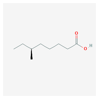 (S)-6-Methyloctanoic acid